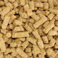 CORN PELLETS