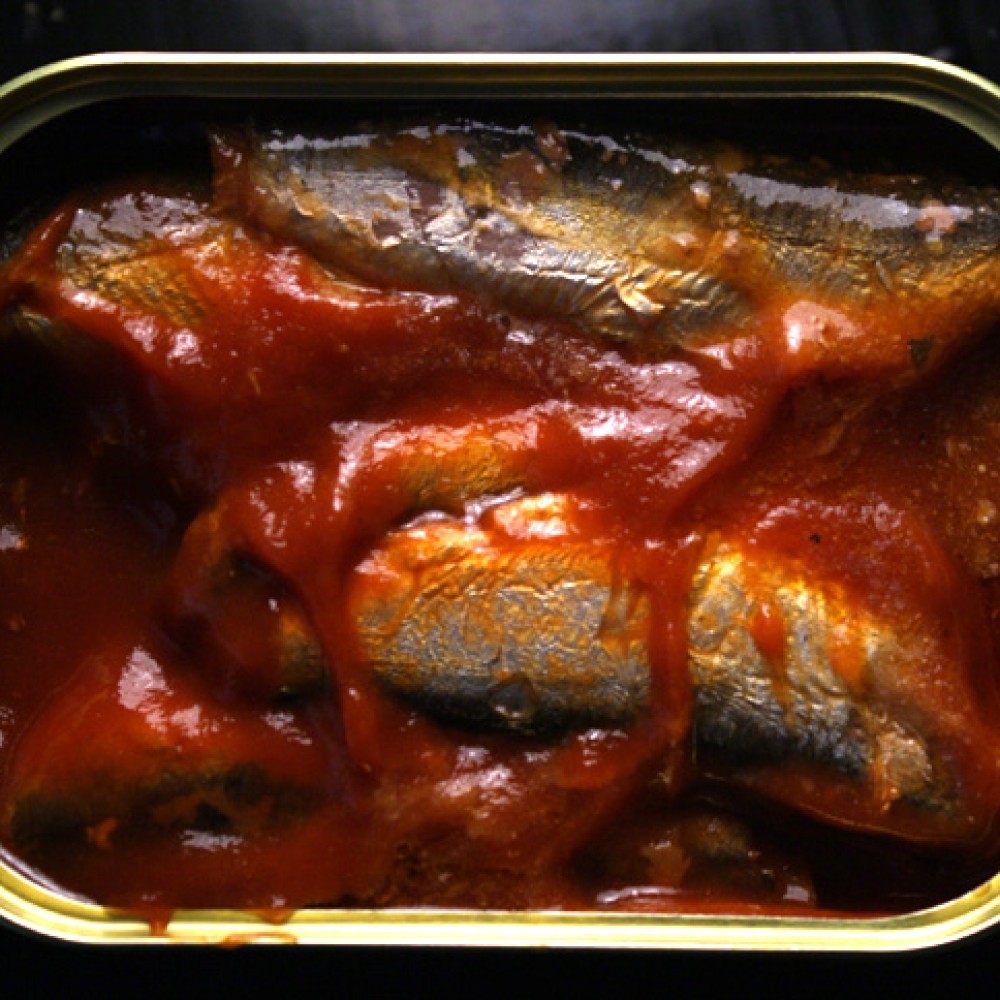 Canned Sardines Tomato Sauce