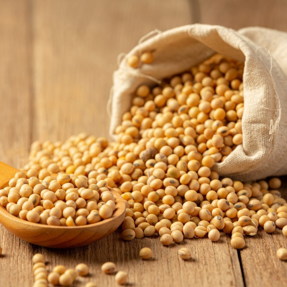 GMO GENETICALLY MODIFIED SOYBEANS