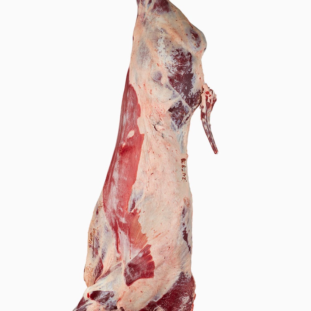 HALAL BEEF CARCASE