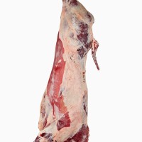 HALAL BEEF CARCASE