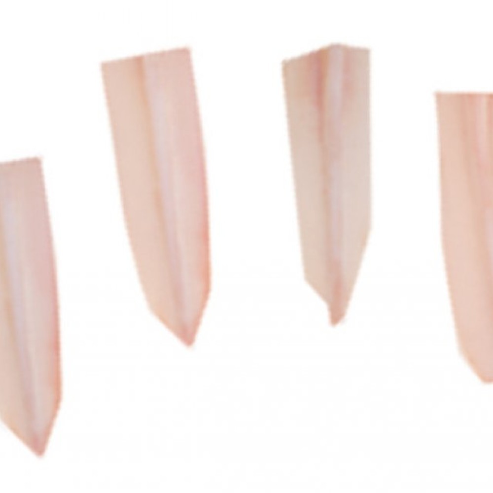 HALAL Chicken Breast Cartilage (Yagen)