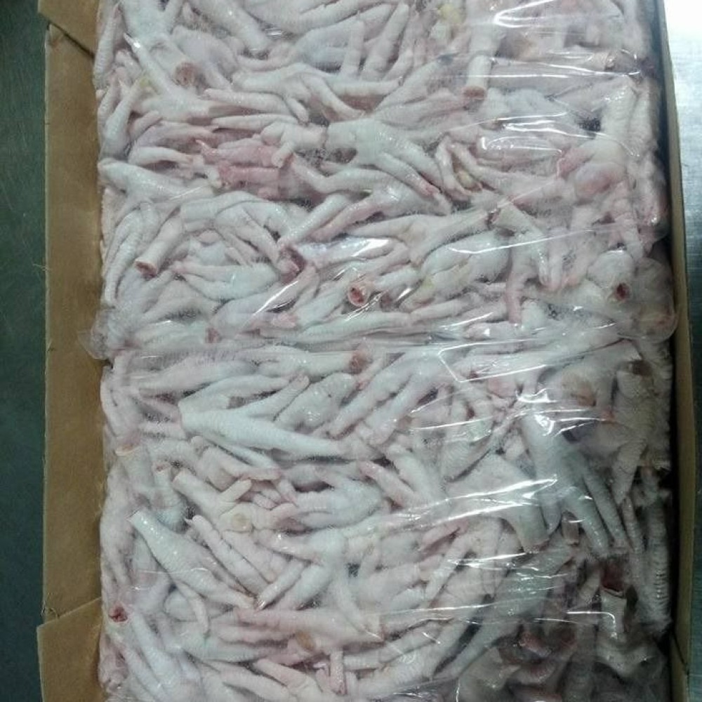 HALAL FROZEN CHICKEN PAWS 30GR UP - GRADE A