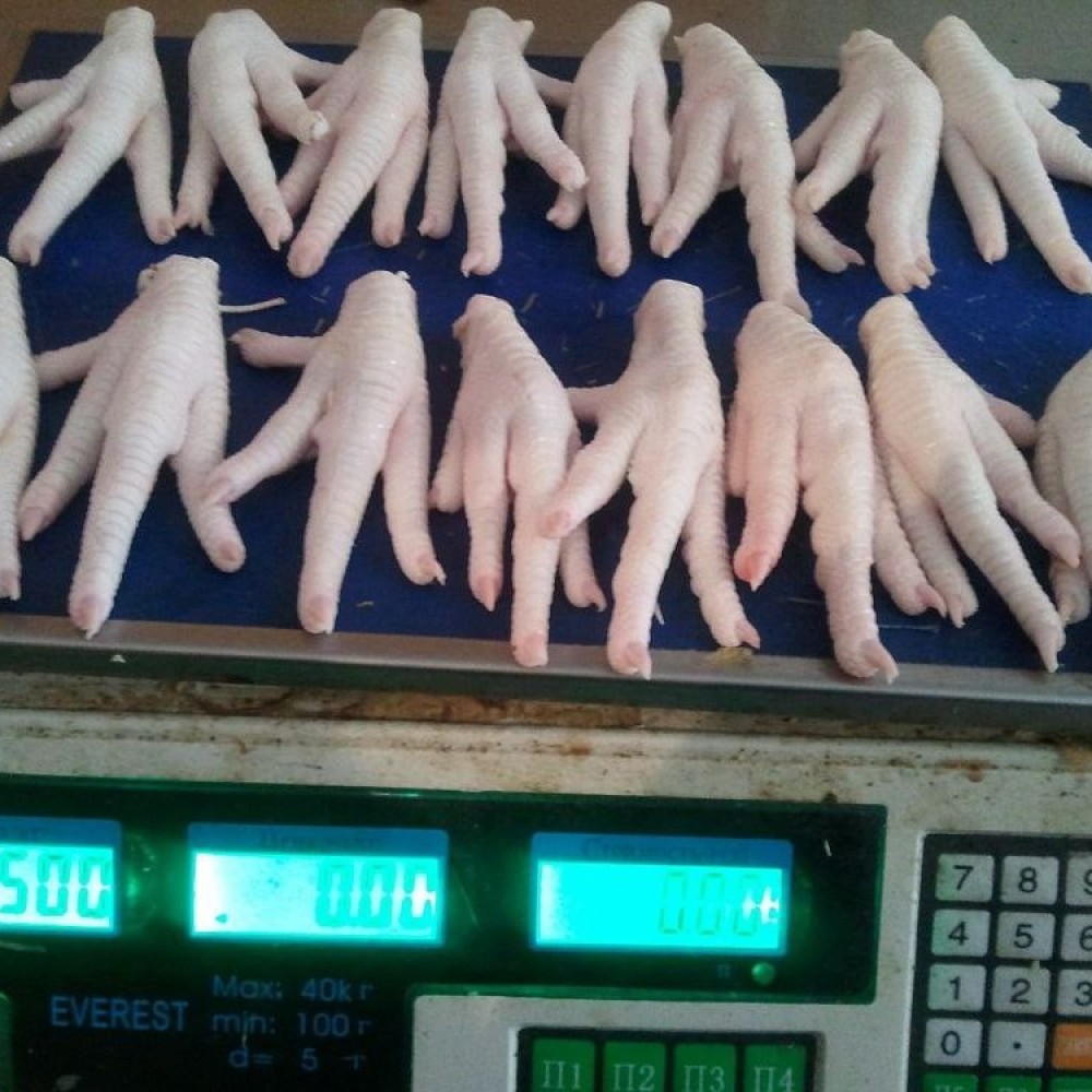 HALAL FROZEN CHICKEN PAWS 30GR UP - GRADE A