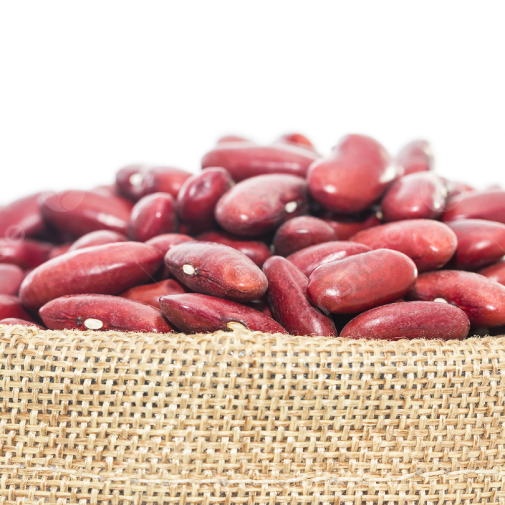 KIDNEY BEANS ANIMAL FEED