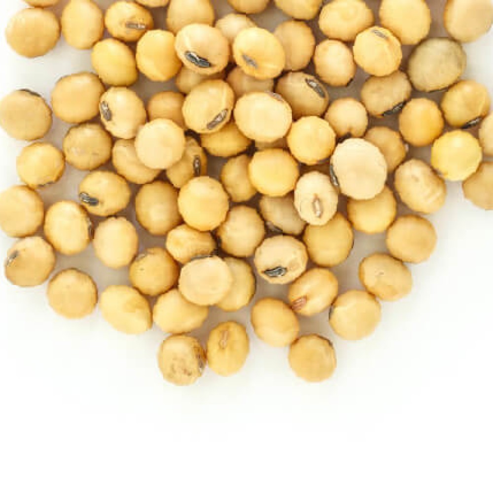 NON-GMO GENETICALLY MODIFIED SOYBEANS