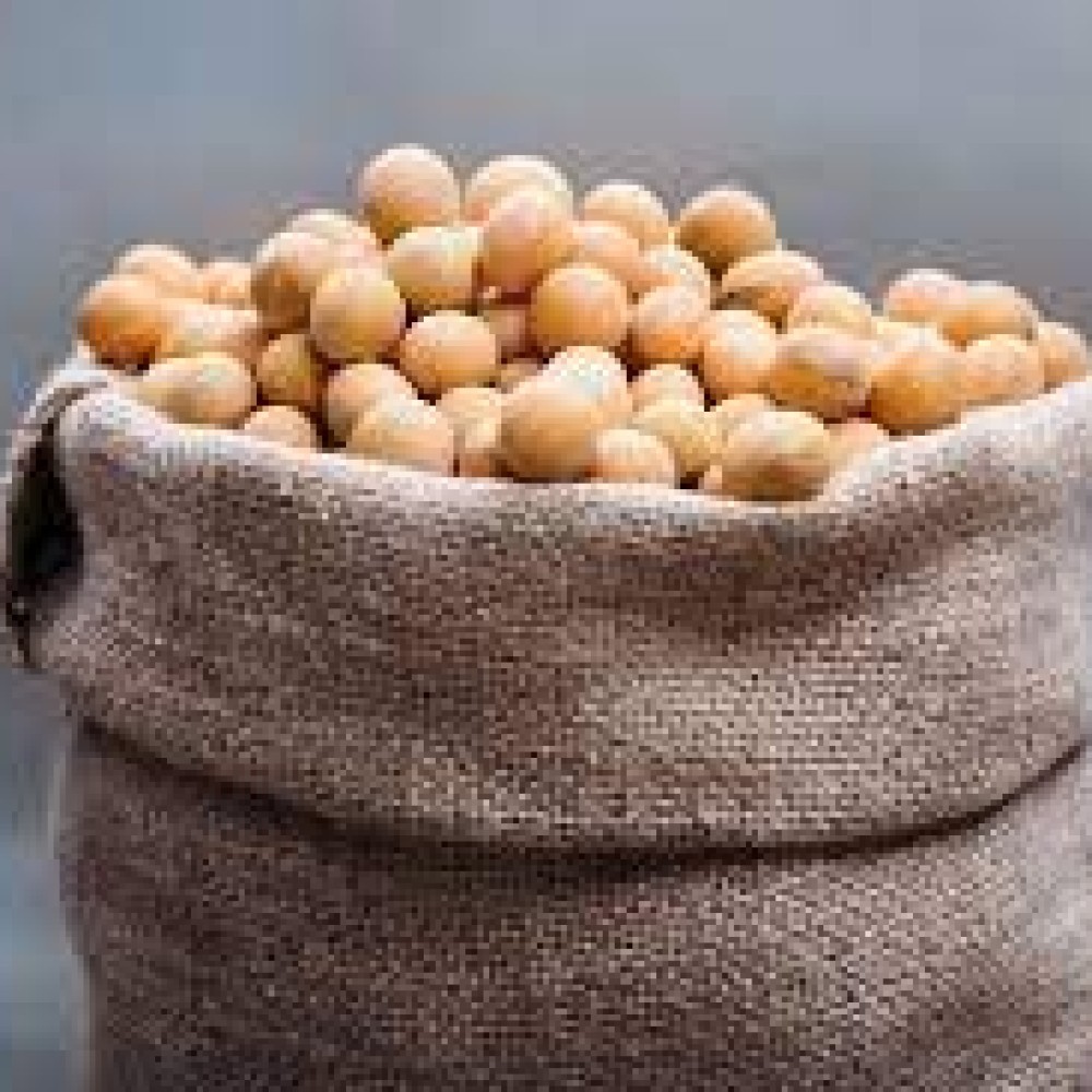 NON-GMO GENETICALLY MODIFIED SOYBEANS