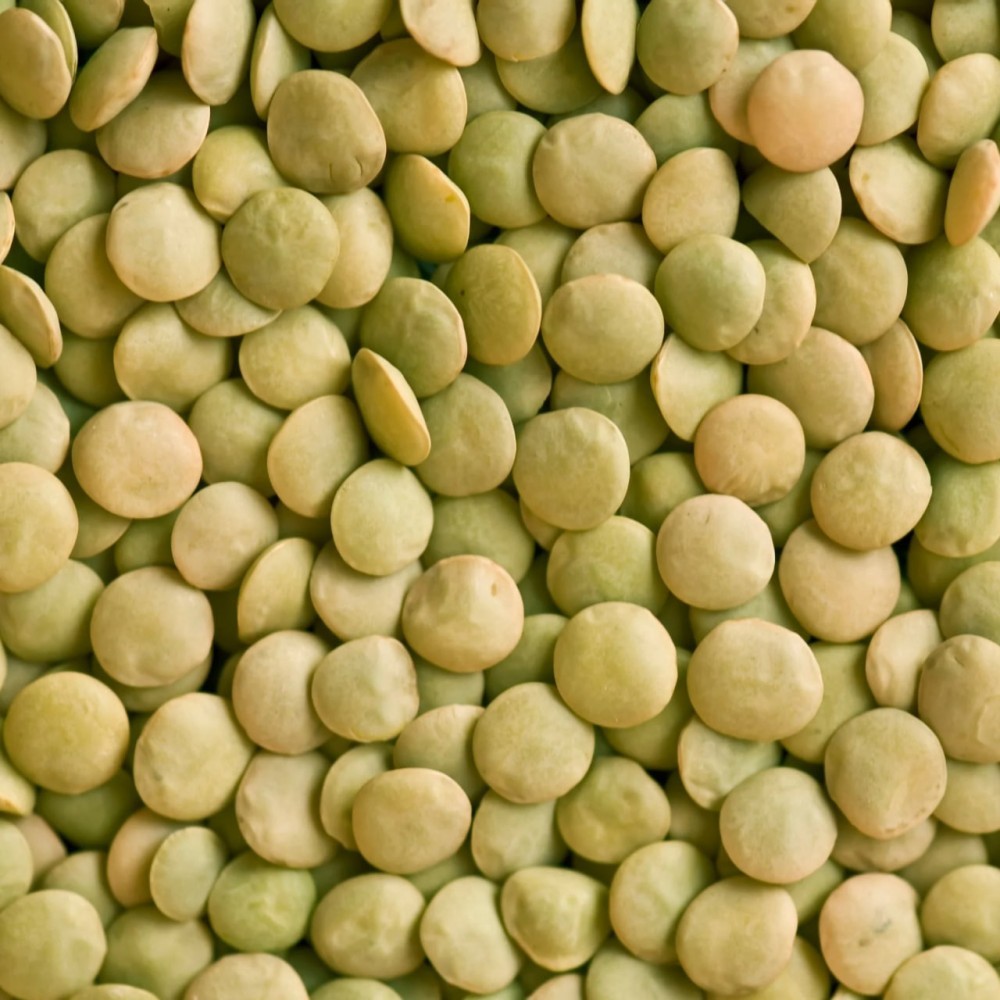 NON-GMO LENTILS