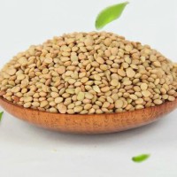 NON-GMO LENTILS