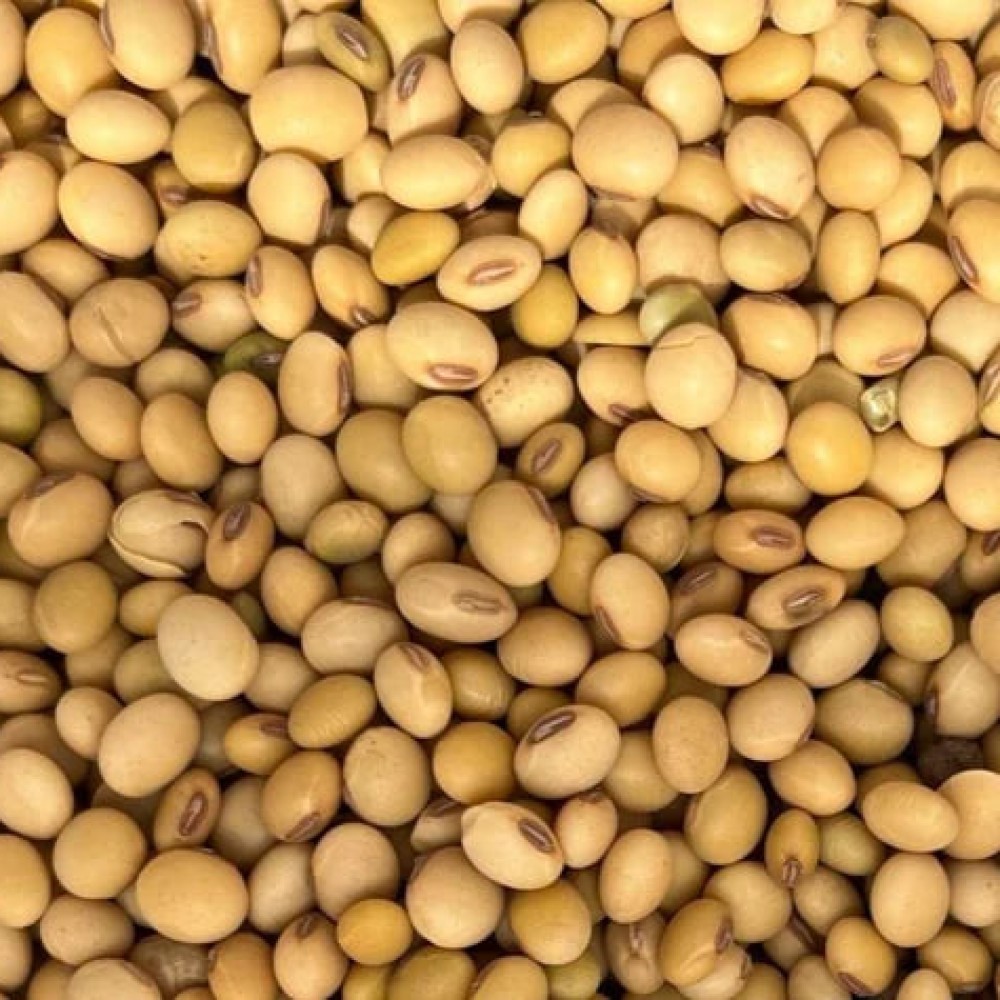 NON-GMO SOYBEANS