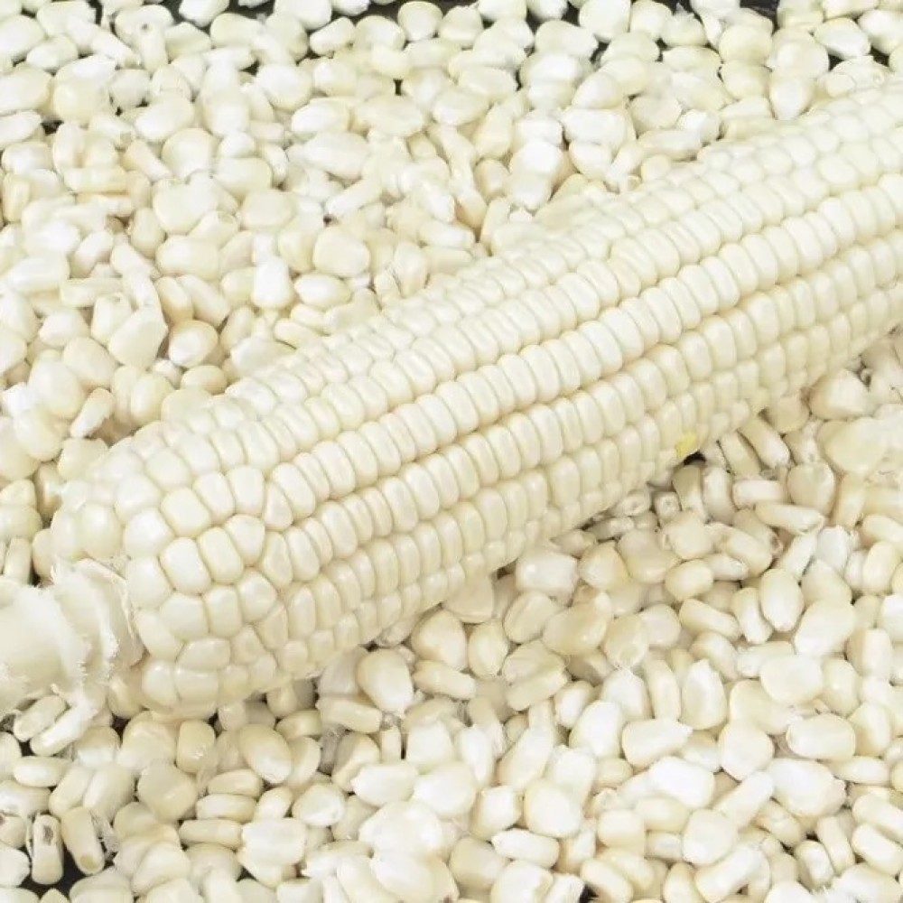 NON-GMO WHITE CORN