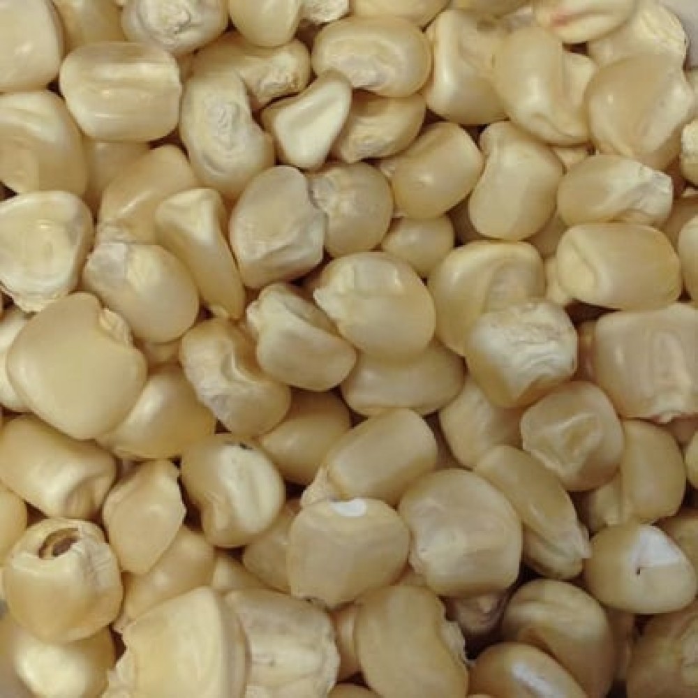 NON-GMO WHITE CORN