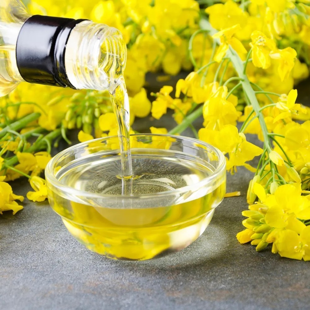 REFINED CANOLA OIL