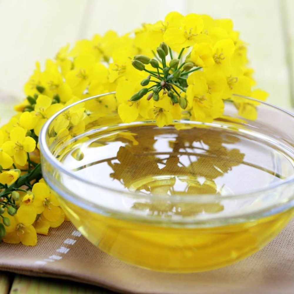 REFINED CANOLA OIL