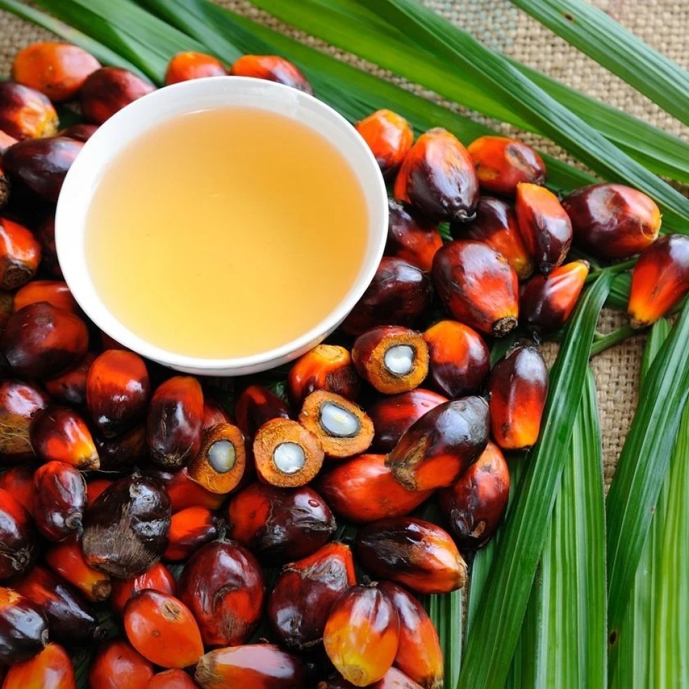 REFINED PALM OIL