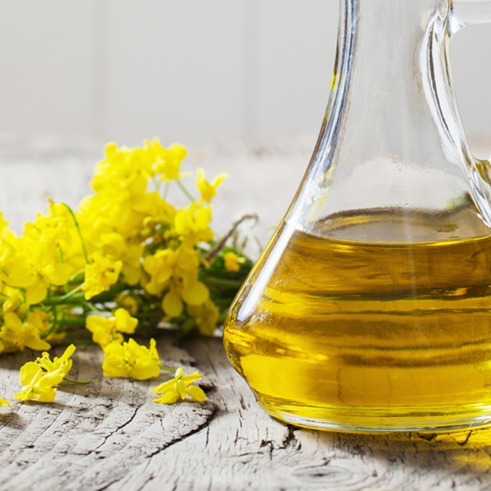 REFINED RAPESEED OIL