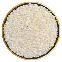 SONA MASOORI STEAM RICE