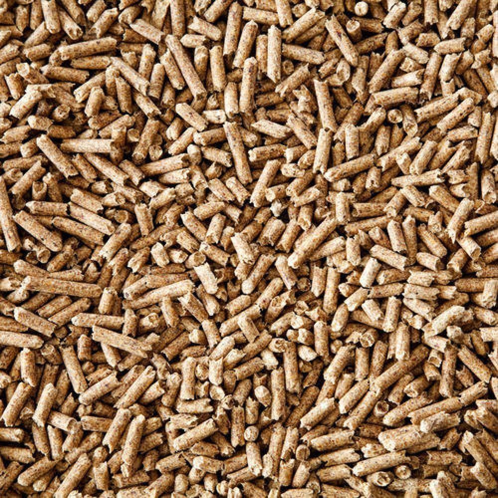 SUGARCAN BAGASSE PELLETS