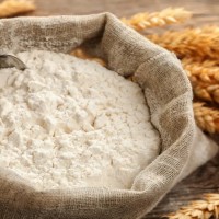 WHEAT FLOUR - ALL KIND